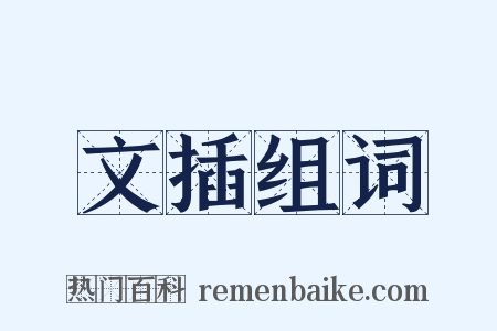 文插组词是什么意思的图片